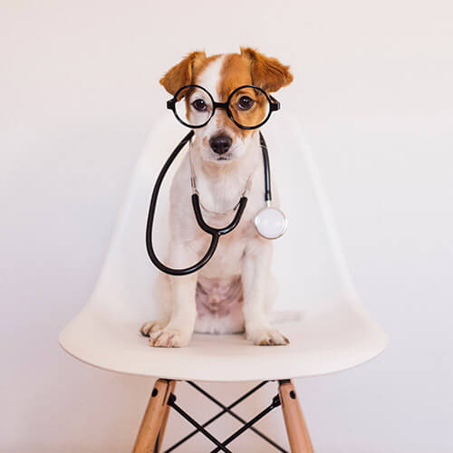 AdobeStock_189242526