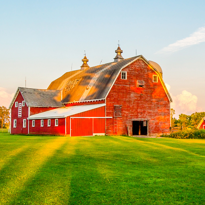 farm